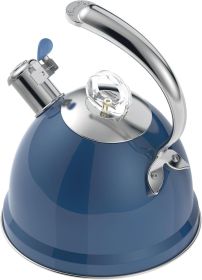 Tea Kettle Stovetop, 2.5 Quart Whistling Stainless Steel Tea Pot, 3-Layer Base, Unique Ergonomic Handle, Includes Pot Holder & Mat